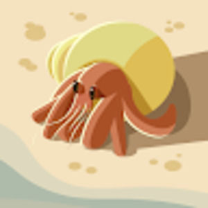 Meet your Posher, Dee